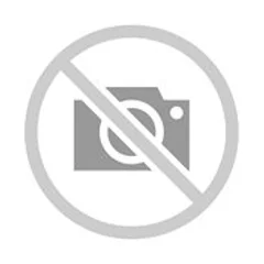 Ambassador