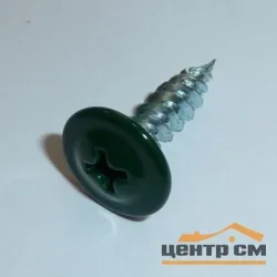Саморезы с прессшайбой острие 4,2x25 RAL 6005 (уп 500шт)