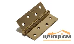 Петли универсальная HANDLE DESIGN 100х70х2,5 золото (2шт.)