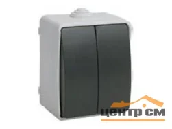 Выключатель двухклавишный ОП Форс 10А 250А IP54 ВС20-2-0-ФСр IEK EVS20-K03-10-54-DC