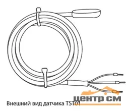 Датчик температуры TST01-0.7-П ССТ 43057023000004
