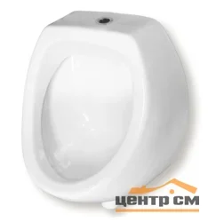 Писсуар настенный "МИНИ" наружный подвод воды (КИРОВ)