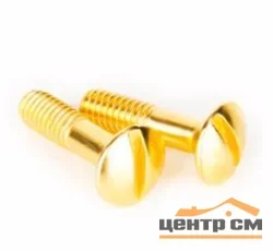 Винты для распределительной коробки/TV розетки Werkel золото, WL18-22-01 (2шт) Ретро