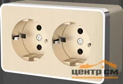 Розетка 2-местная ОП Werkel Gallant, с заземлением, шампань рифленый WL15-02-03