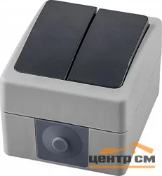 Выключатель двухклавишный ОП 250В, 10А, серый/графит (PSW10-121-54) Велена STEKKER