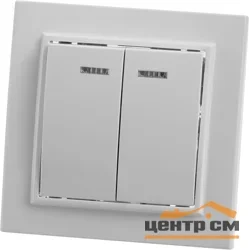Выключатель двухклавишный СП 220V, 10А, c индикатором, белый (PSW10-9002-01) ЭРНА STEKKER