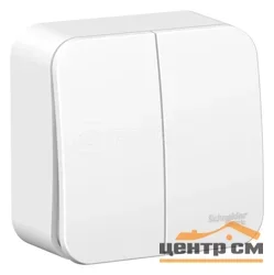 Выключатель двухклавишный ОП Blanca 10А IP20 (сх. 5) 250В с изолир. пластиной бел. SE BLNVA105011 SE