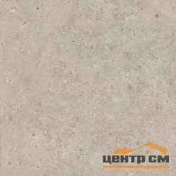 Керамогранит KERAMA MARAZZI Риккарди бежевый матовый обрезной 60x60x9мм арт.SG653820R