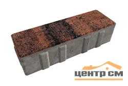 Плитка тротуарная Ригель Клинкер 240*80*60 мм Color mix, верхний прокрас, белый цемент, микрофаска СИЯН