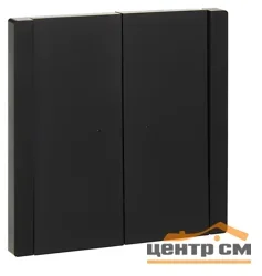Выключатель двухклавишный СП FORTE&PIANO 10А FP106 с индикацией черн. IEK FP-V20-1-10-1-K02
