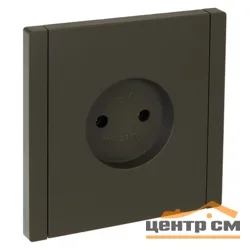 Розетка 1-м СП FORTE&PIANO FP317 10А без заземл. защ. шторки винт. крепл. сер. IEK FP-R13-10-K03