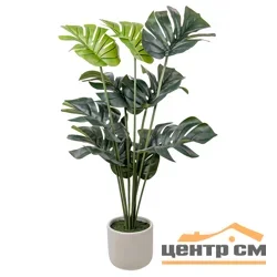 Монстера в цементном горшке, Д150 Ш150 В890