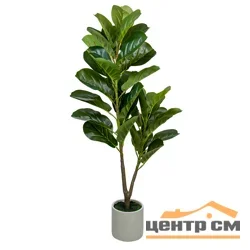 Фикус в цементном горшке, Д140 Ш140 В960