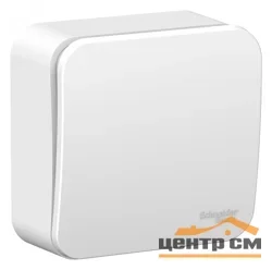 Выключатель одноклавишный ОП Blanca 6А IP20 (сх. 1) 250В с изолир. пластиной бел. SE BLNVA061011