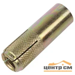 Анкер забивной М6 сталь (уп 10шт) пакет