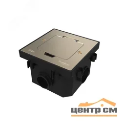 Лючок MultiDesk MDK20 на 2мод. IP44 с монтажной коробкой для бетонных полов никель SE MDK20202NC