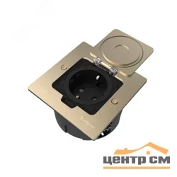 Лючок MultiDesk MDK21 с розеткой 2P+E 16А 250В IP44 с монтажной коробкой для стены фальшпола стола никель SE MDK21102NA