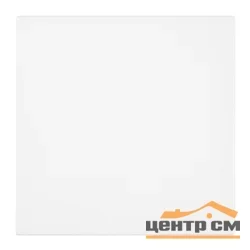 Механизм выключателя одноклавишный 250В 10А, белая магнолия, RSW10-3103-01 Мия STEKKER