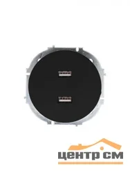 Розетка USB 2-местная СП Lezard OSEN чёрный бархат